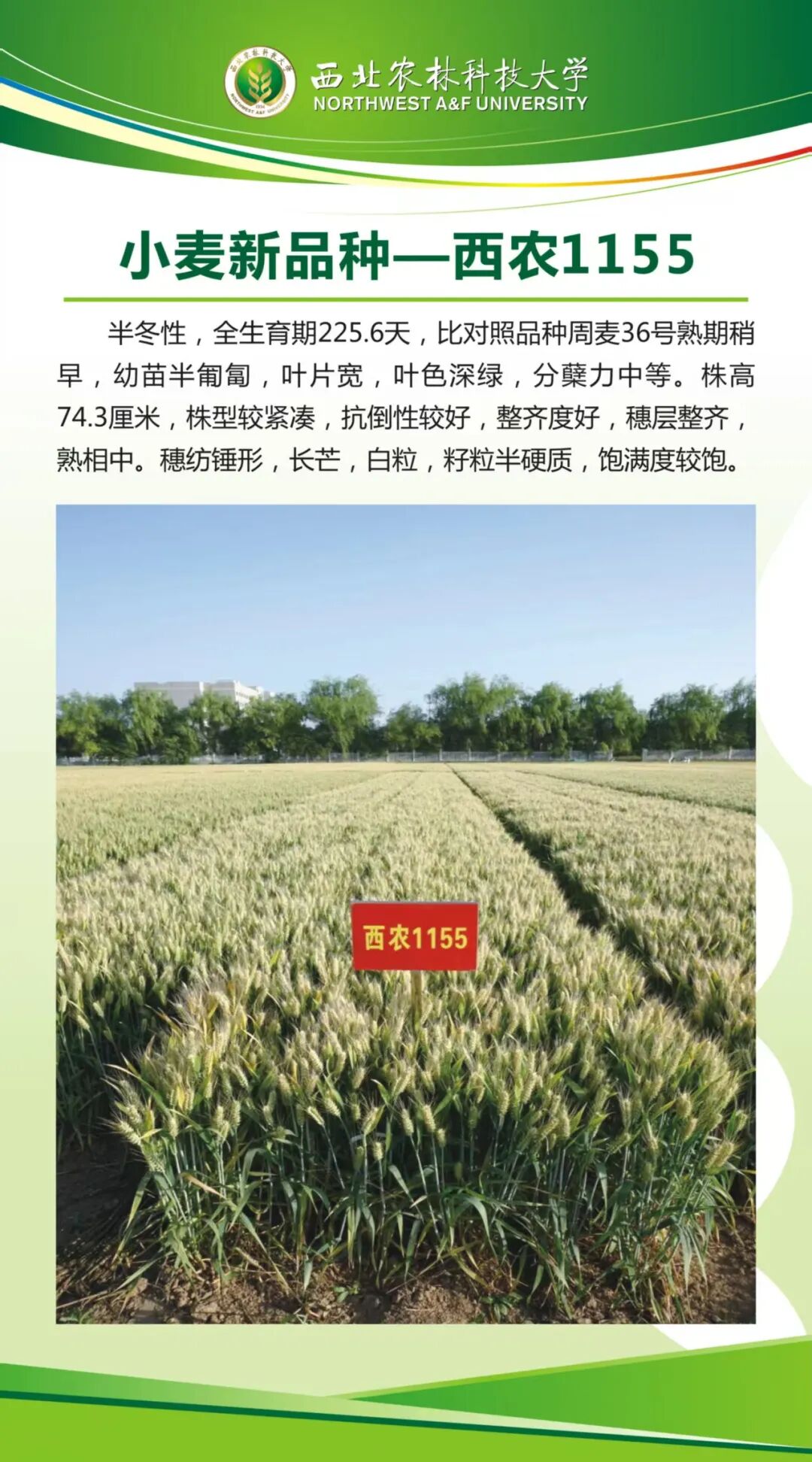 1784594805101911.jpg 微信图片_2026-07-21_084636_868.jpg