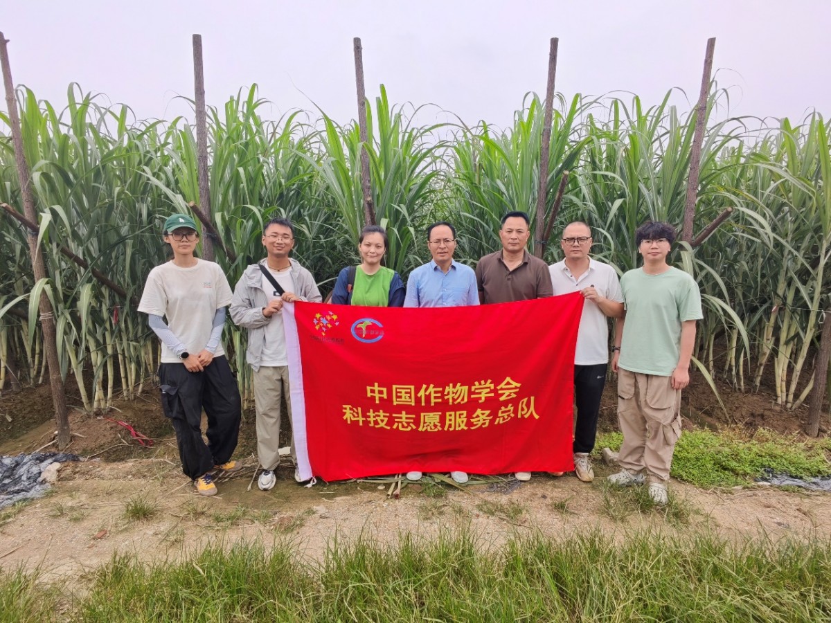 1785836913708986.png 图片1.png