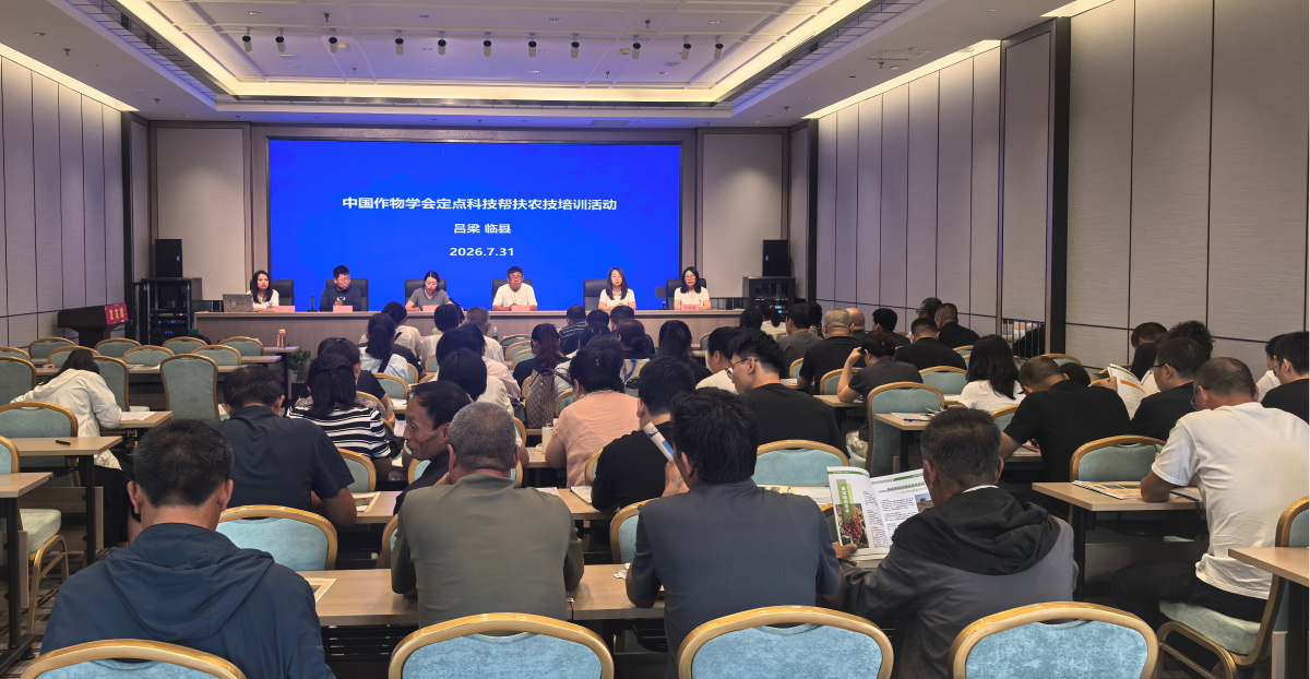 1785837326770409.png 图片1.png