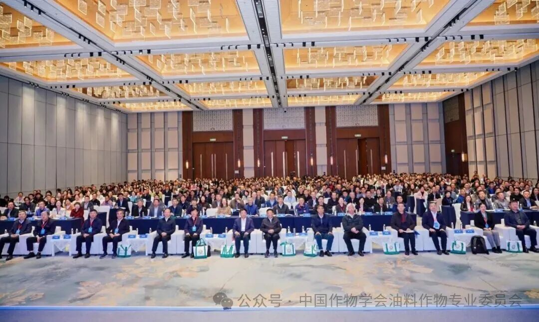 1786428397708306.jpg 图1.jpg