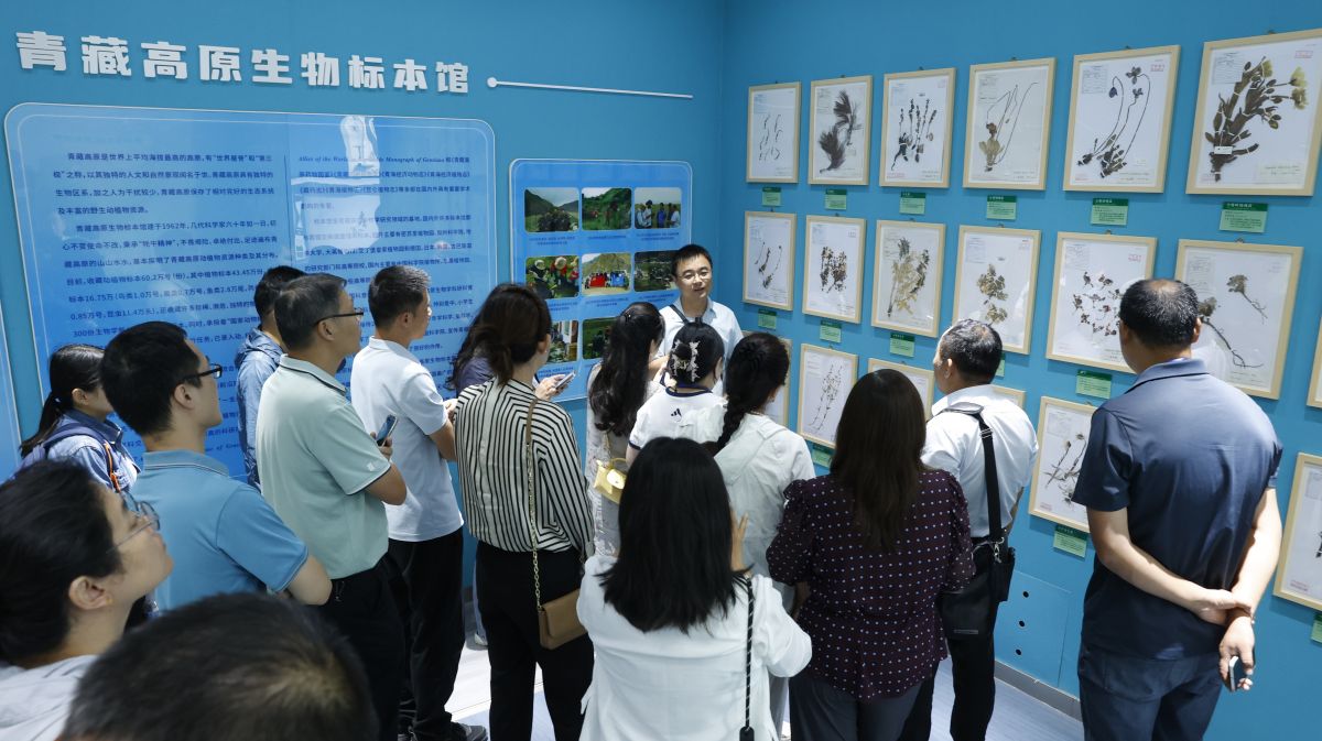 5-参观青藏高原生物标本馆.JPG