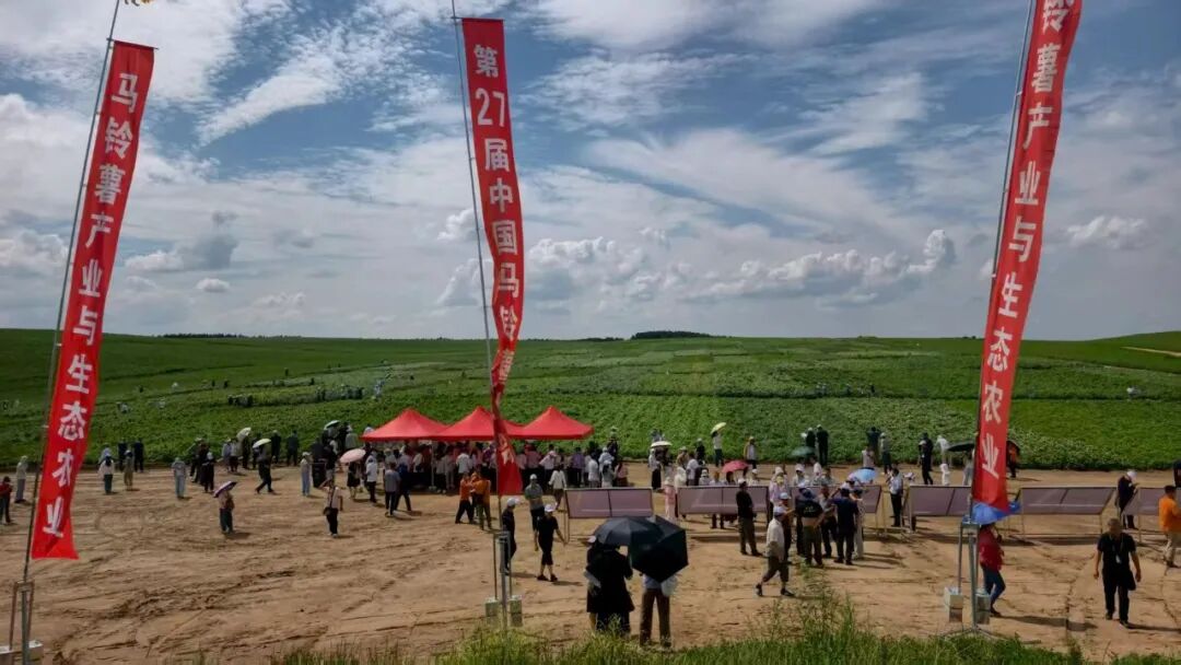 图10.jpg