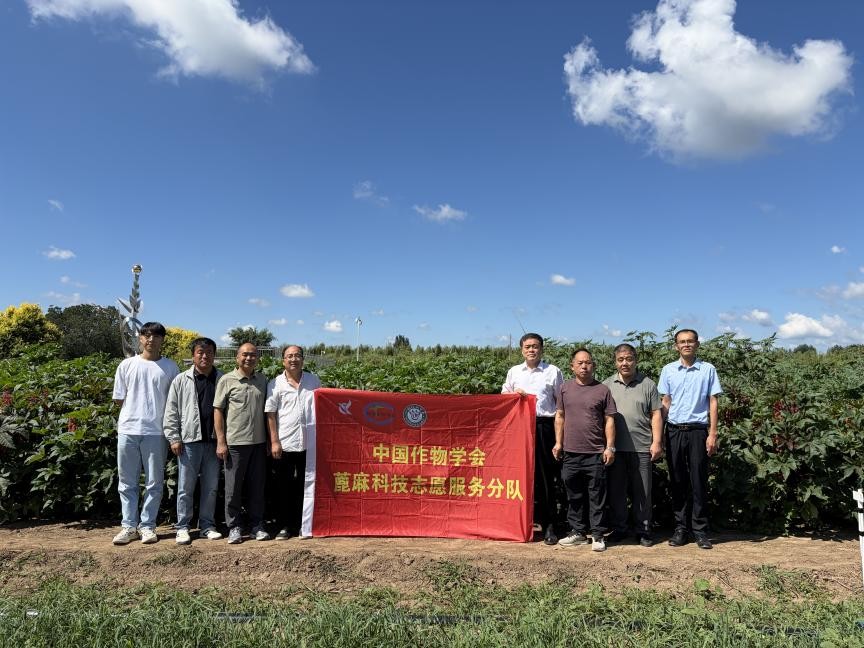 1787046476358967.png 图片4.png
