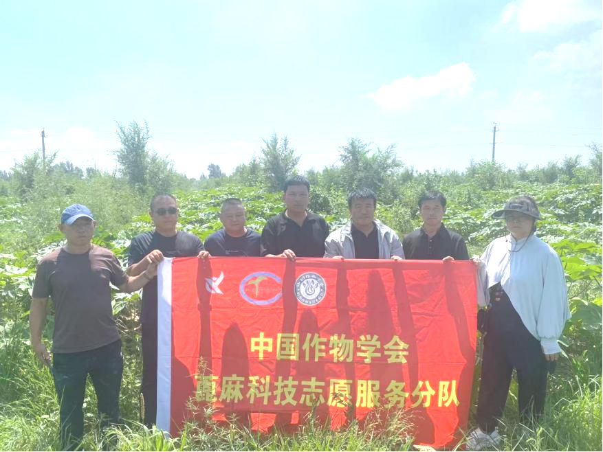 1787046603657329.png 图片6.png