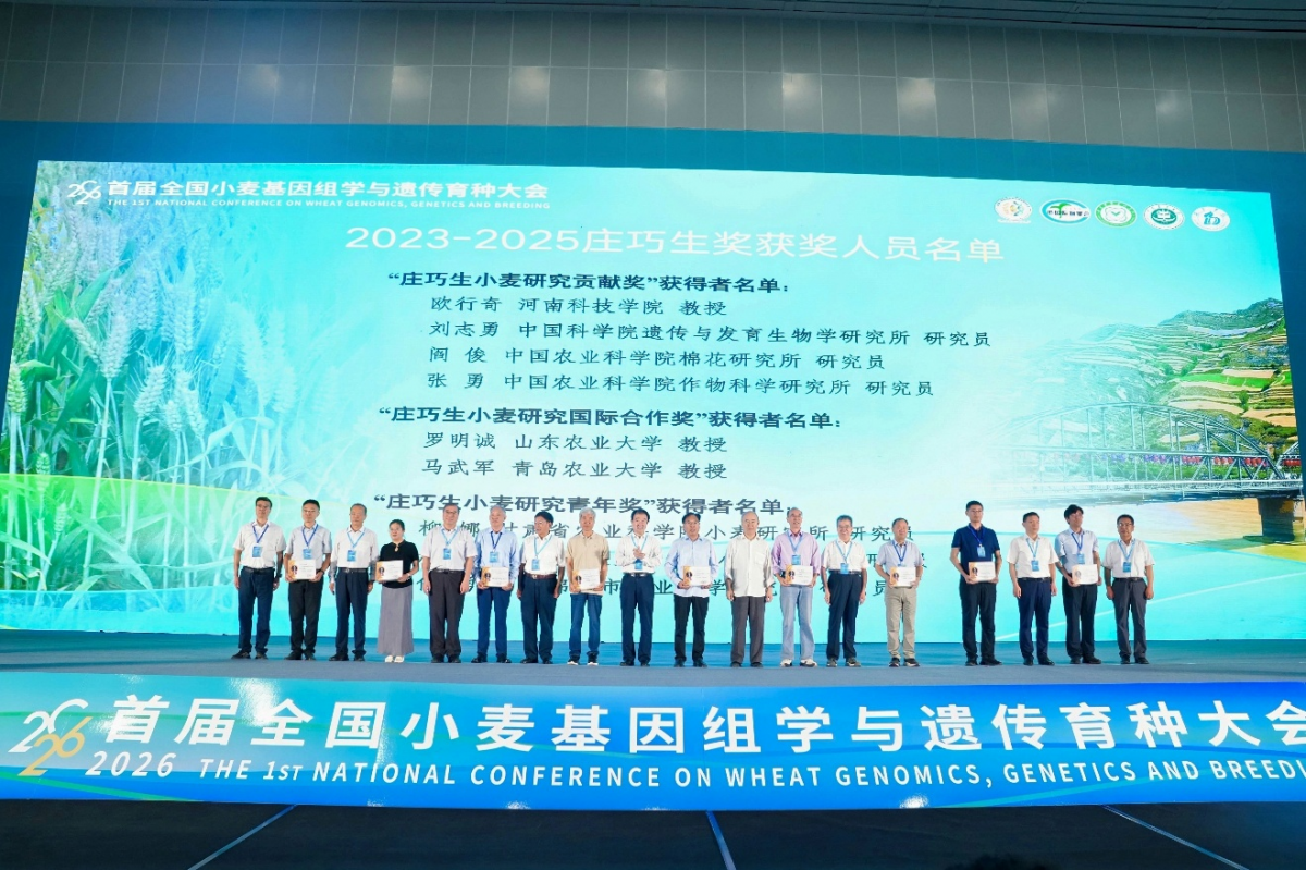 图片10.png
