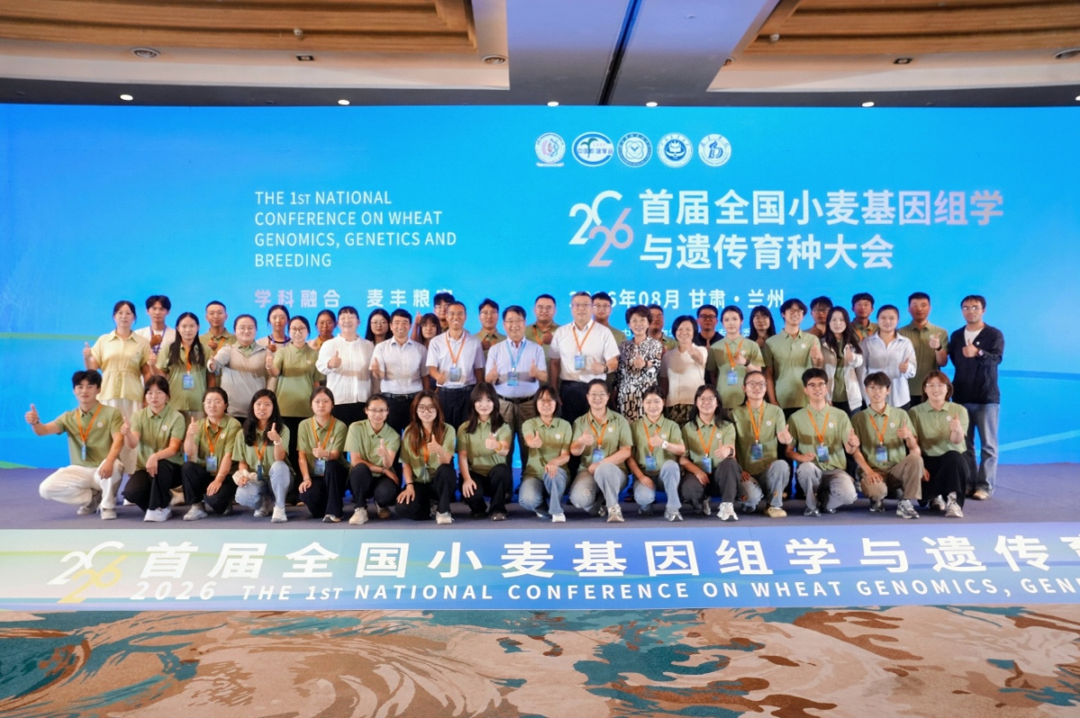 图片11.png