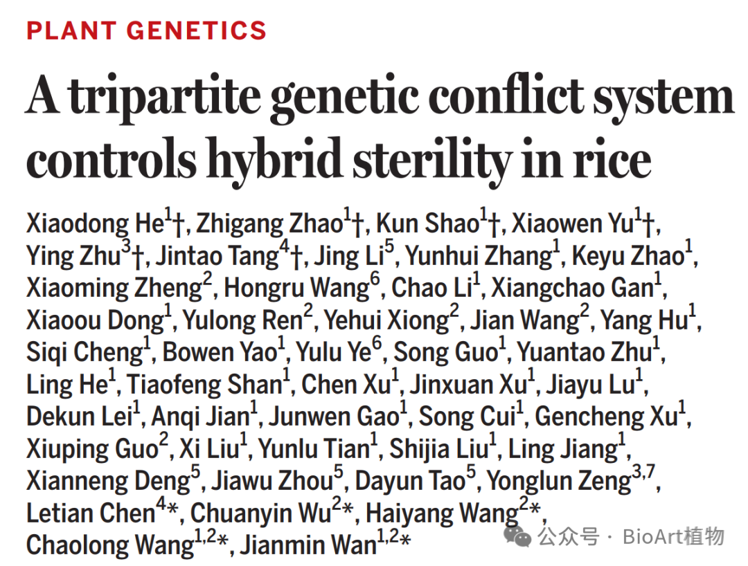 图1.png