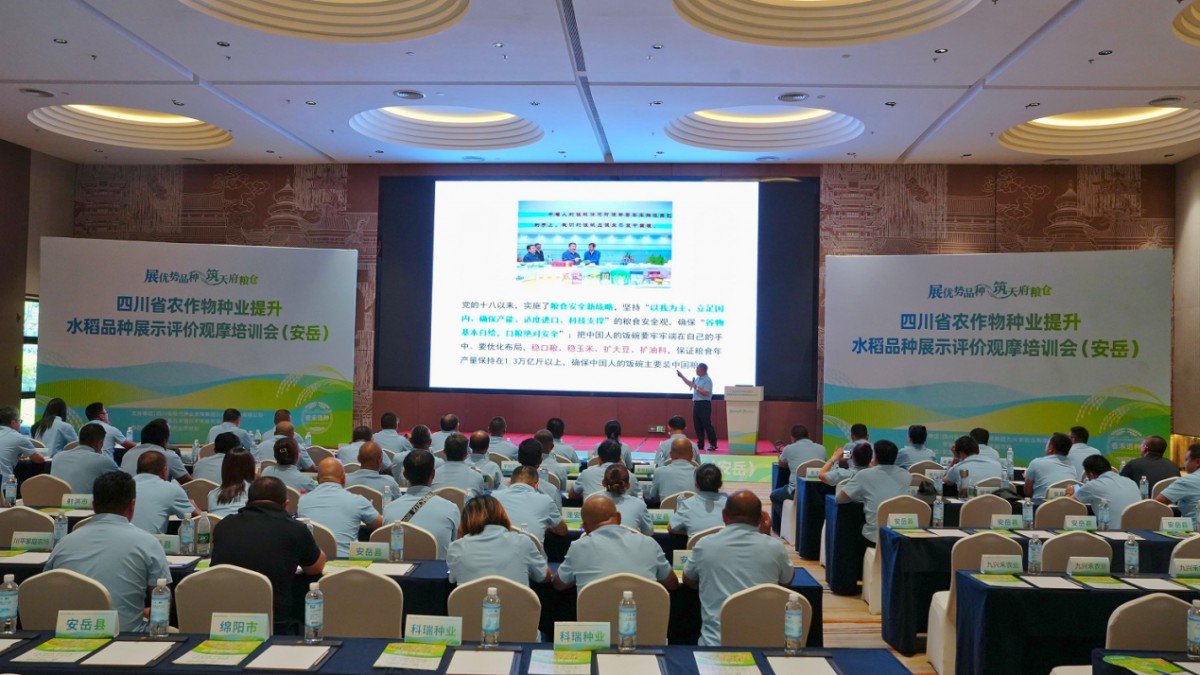 1788231554954936.png 图片2.png