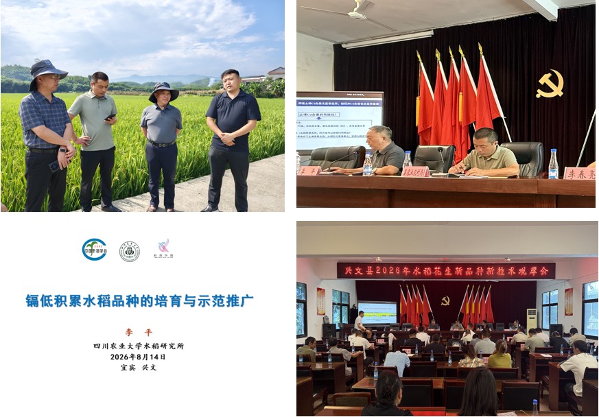 1788231629358512.png 图片4.png