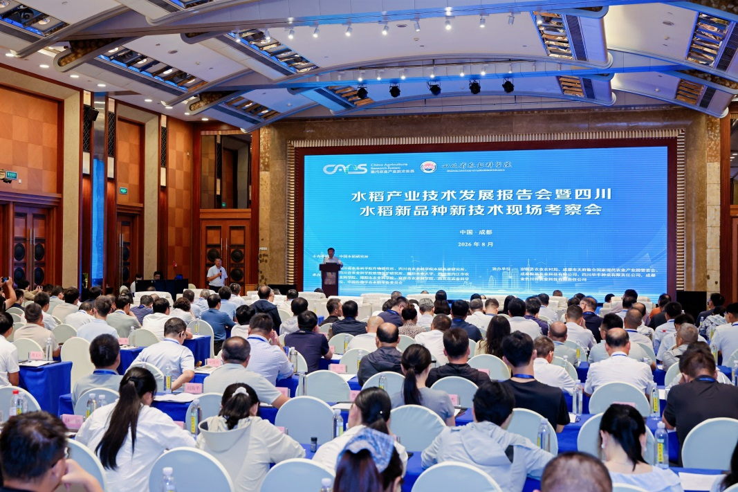 1788256602765308.png 图片1.png