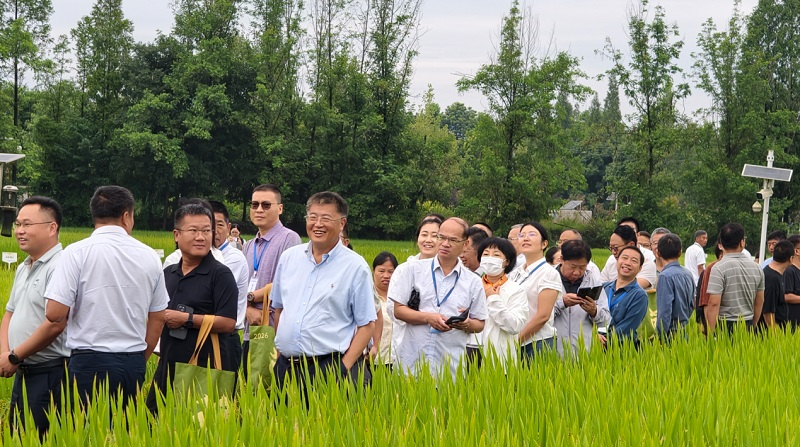 1788256666759839.png 图片3.png