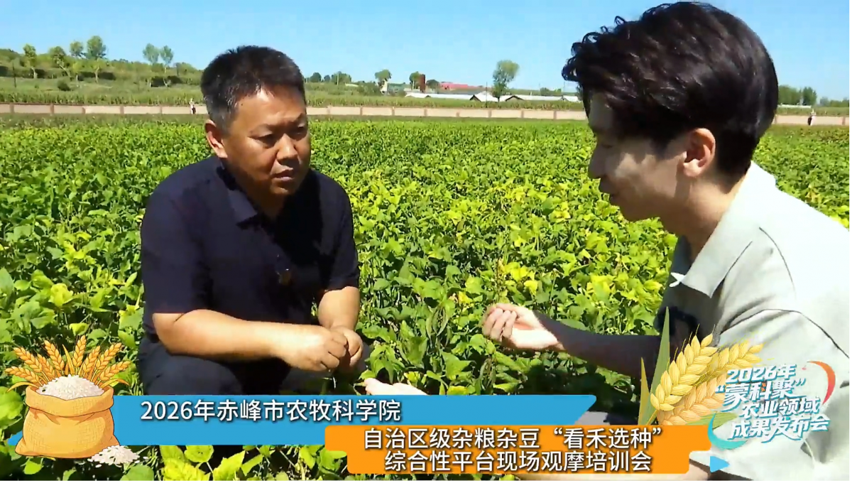 1788829812351543.png 图片3.png