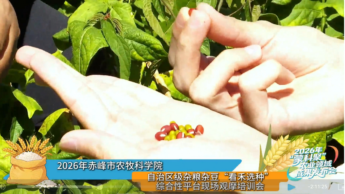 1788829879385351.png 图片5.png