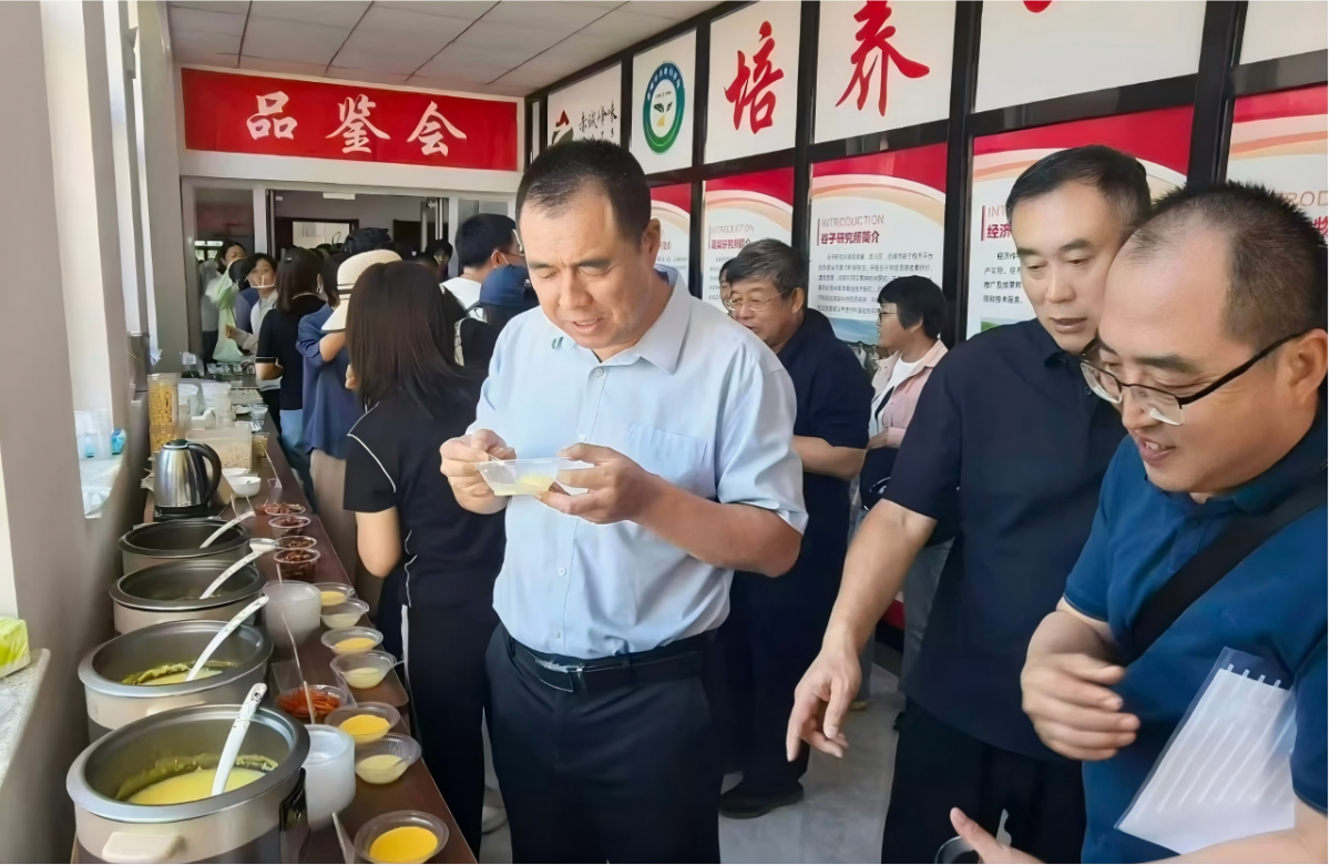 1788830599898398.png 图片7(1).png